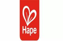 hape-toys